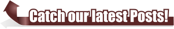 Catch our latest Posts!